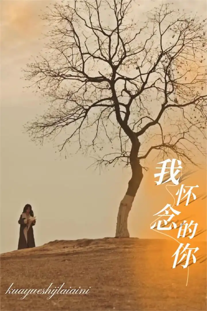 我怀念的你（38集）