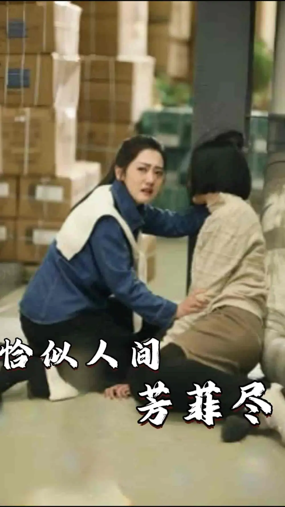 8395-恰似人间芳菲尽(68集)
