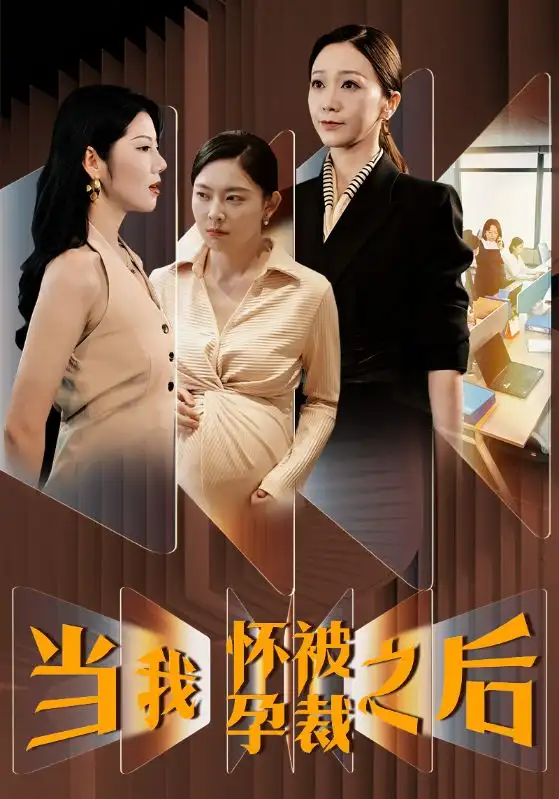 11666-当我怀孕被裁之后(30集)