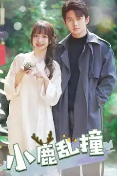 小鹿乱撞(40集)