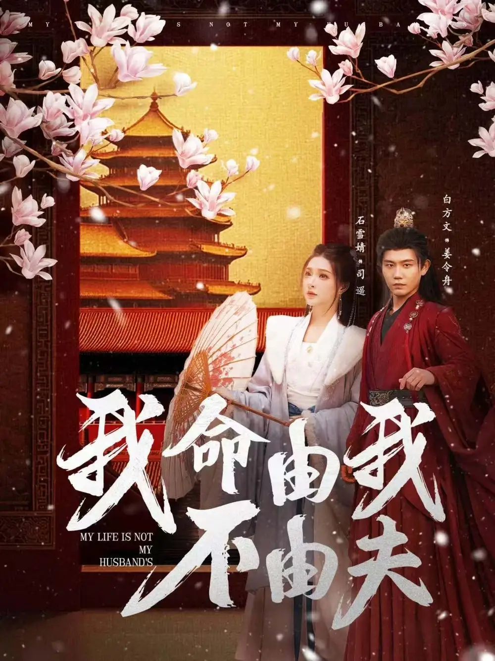 我命由我不由夫(75集)