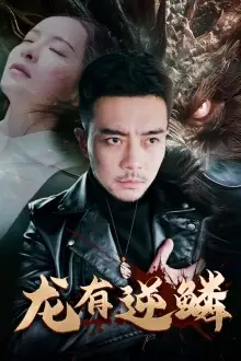 龙有逆鳞(81集)