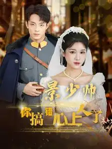 景少帅你搞错心上人了(100集)尚雨茜