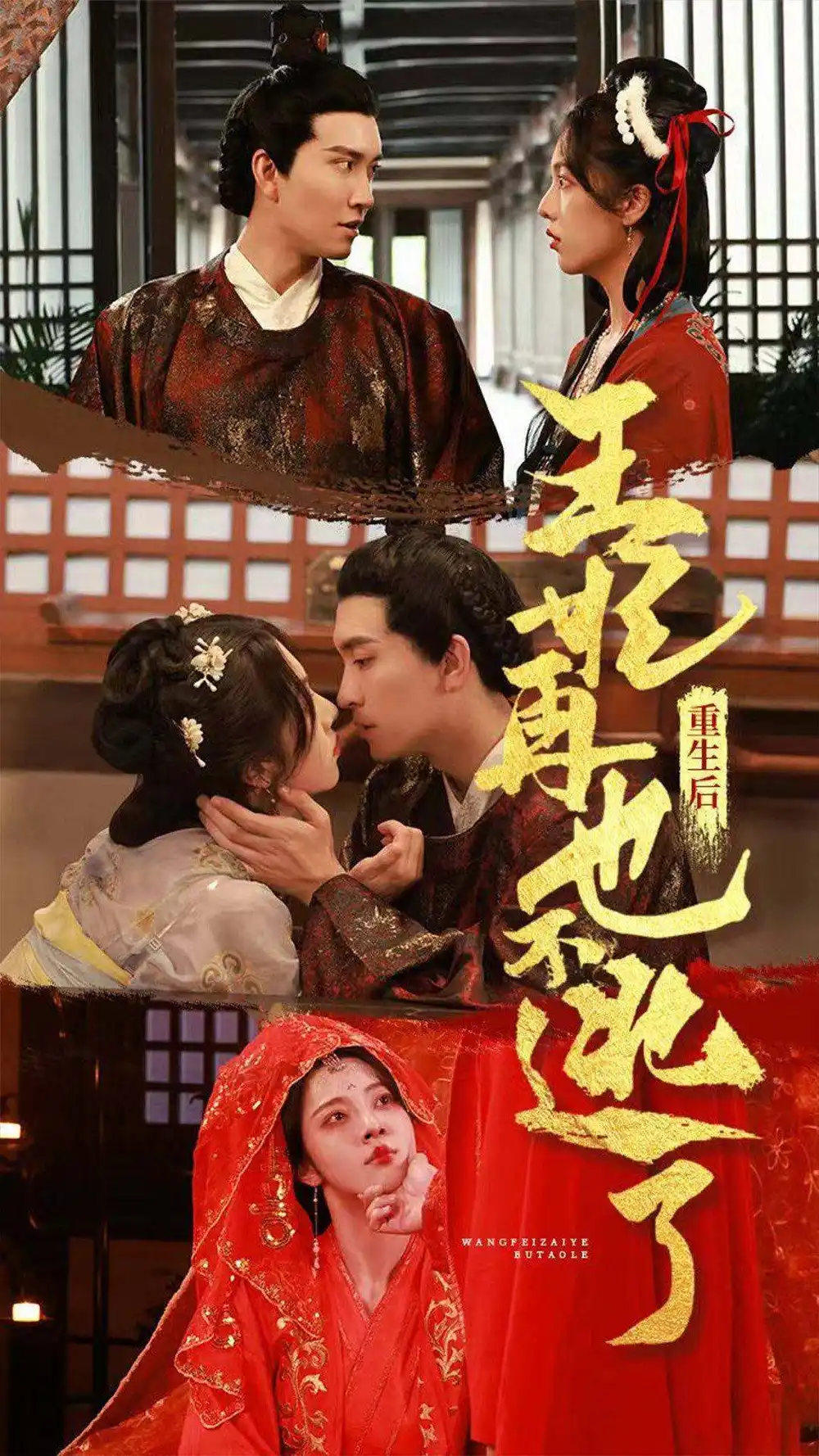 重生后王妃再也不逃了 81集