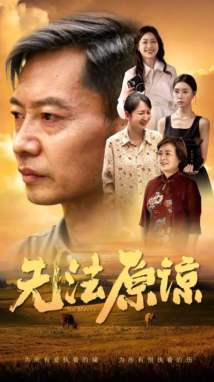 无法原谅(45集)