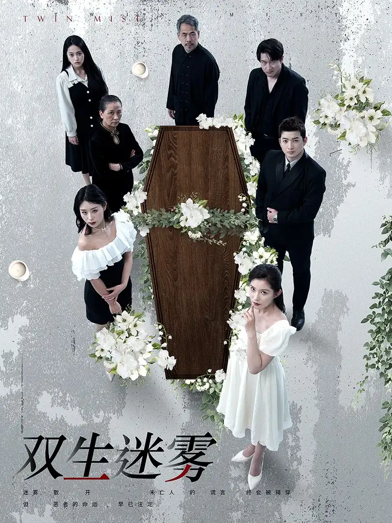 双生迷雾(80集)