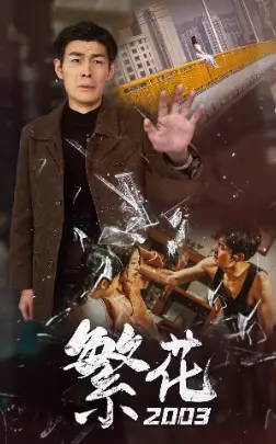 繁花2003(78集)爆款
