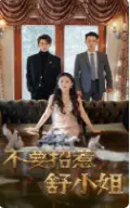 不要招惹舒小姐(101集)