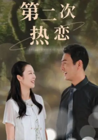 第二次热恋(48集)