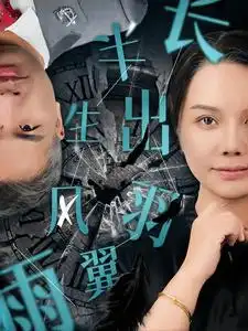 半生风雨长出羽翼(37集)