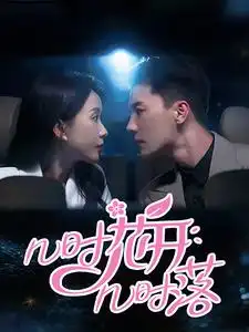 几时花开几时落(66集)