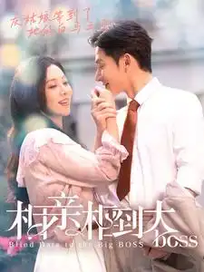 相亲相到大boss(101集)