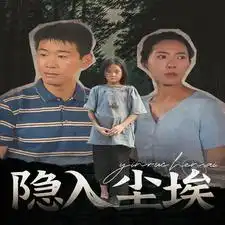 隐入尘埃(30集)