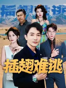插翅难逃(43集)