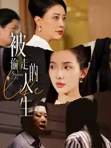 被偷走的人生&遥不可及的母亲(35集)