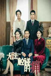 无法触碰的痛(80集)