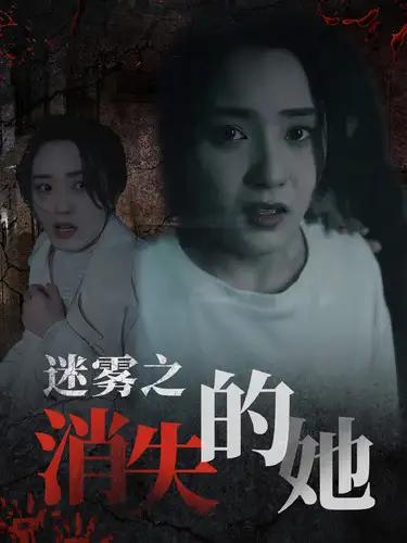 迷雾之消失的她(73集)