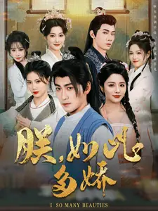 朕如此多娇(90集)
