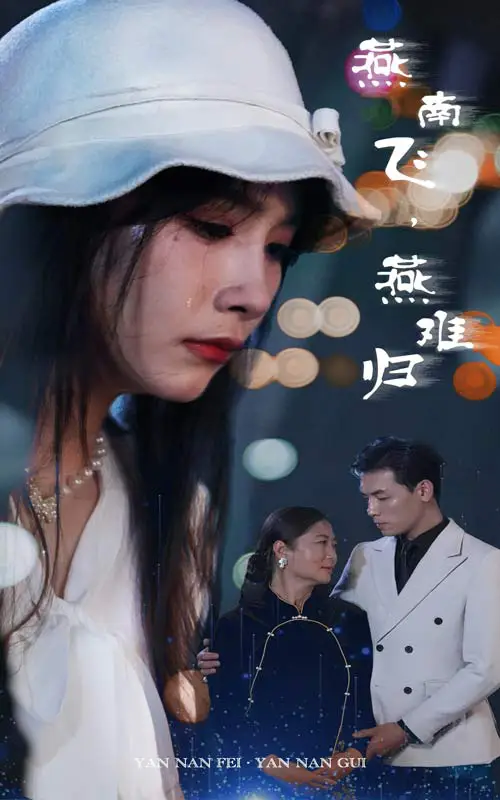 燕南飞,燕难归(31集)