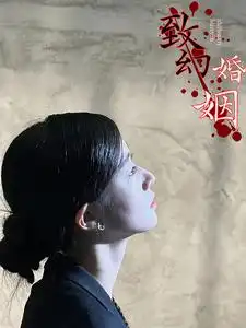 致幻婚姻(100集)