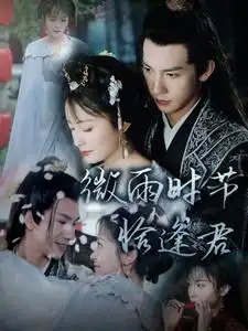 微雨时节恰逢君(82集)