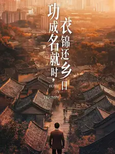 功成名就时衣锦还乡日(60集)