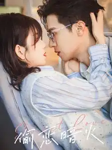 偷恋暗火(90集)