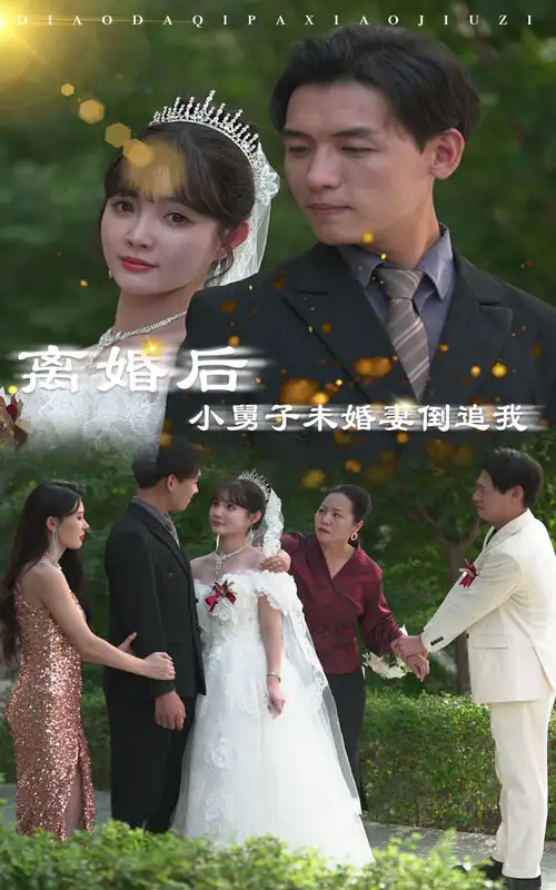 离婚后,小舅子未婚妻倒追我(30集)