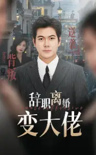 辞职离婚变大佬(30集)