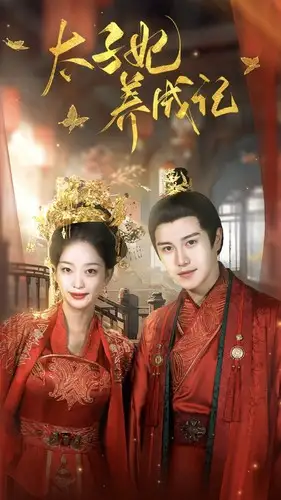 太子妃养成记(97集)