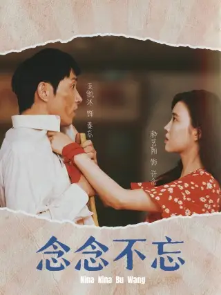 念念不忘(32集)