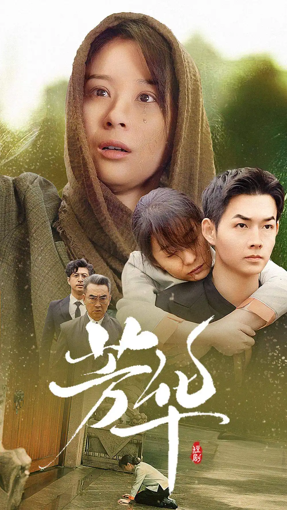 芳华(80集)