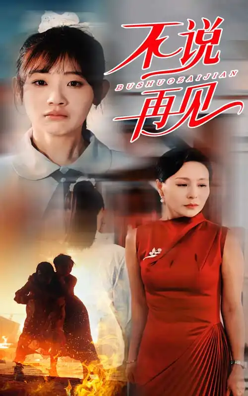 不说再见(31集)