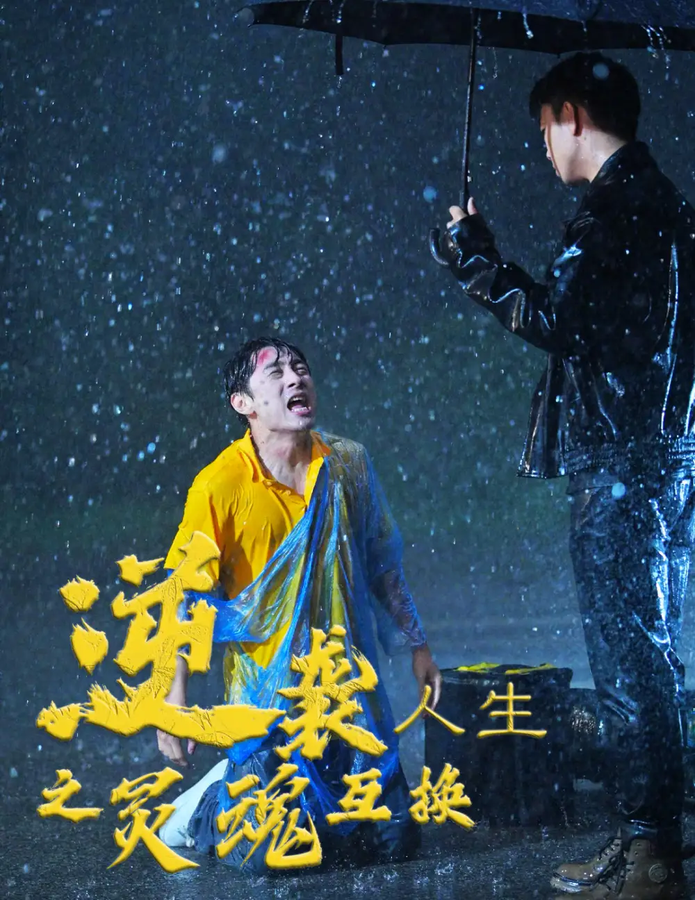 逆袭人生之灵魂互换（61集）田园