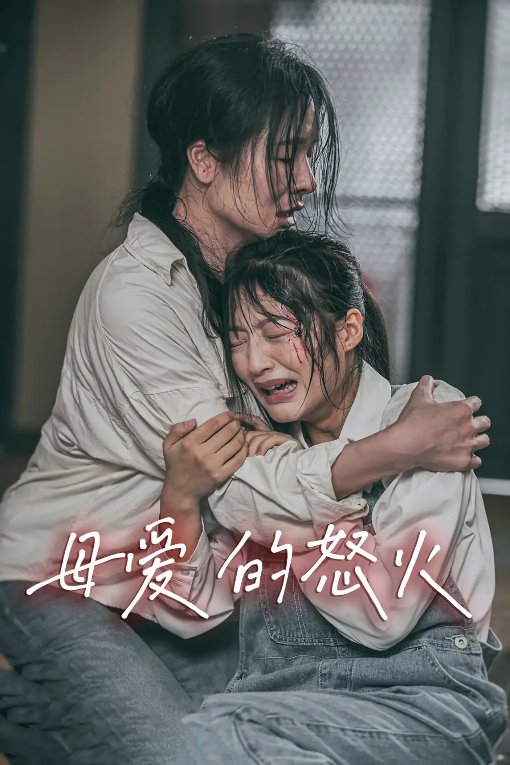 母爱的怒火(28集)