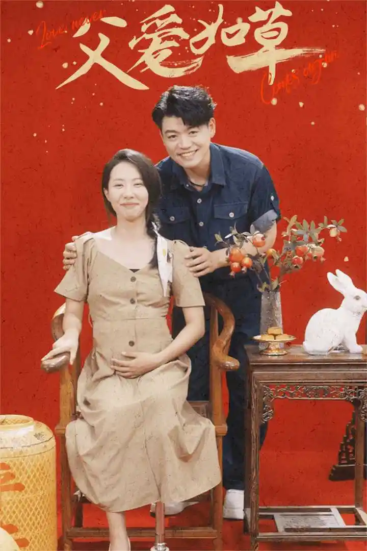 父爱如草(31集)