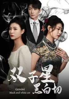 双子星黑白切(82集)