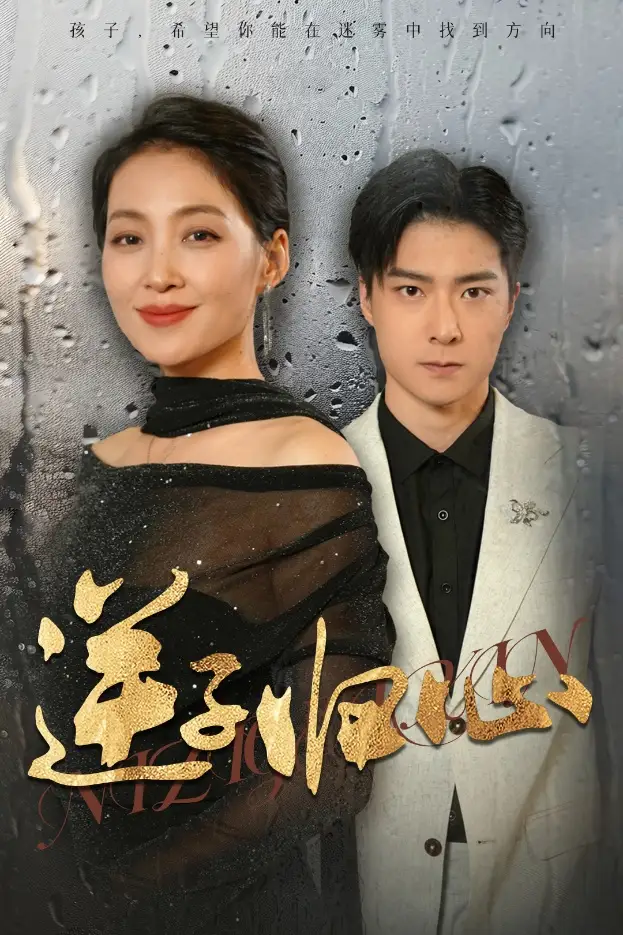逆子归心(31集)