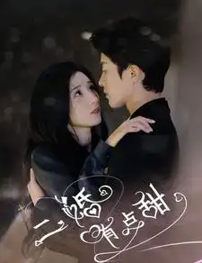 二婚有点甜(88集)贾博雅