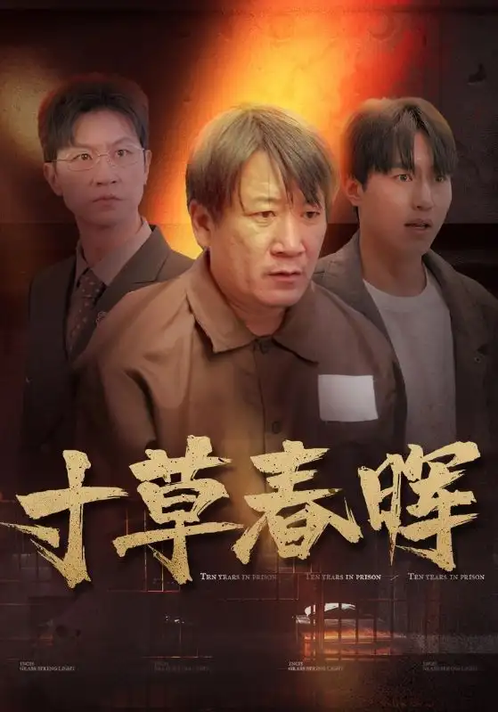寸草春晖(31集)