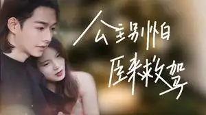 公主别怕,臣来救驾(90集)