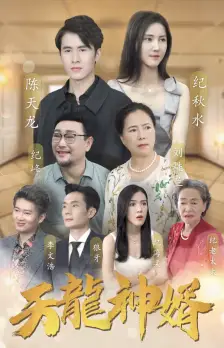 天龙神婿(80集)