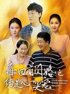 再回首闪婚之仍是心尖宠(36集)