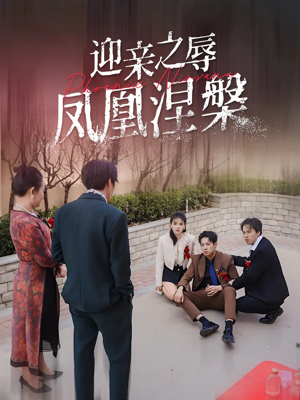 迎亲之辱凤凰涅槃(34集)