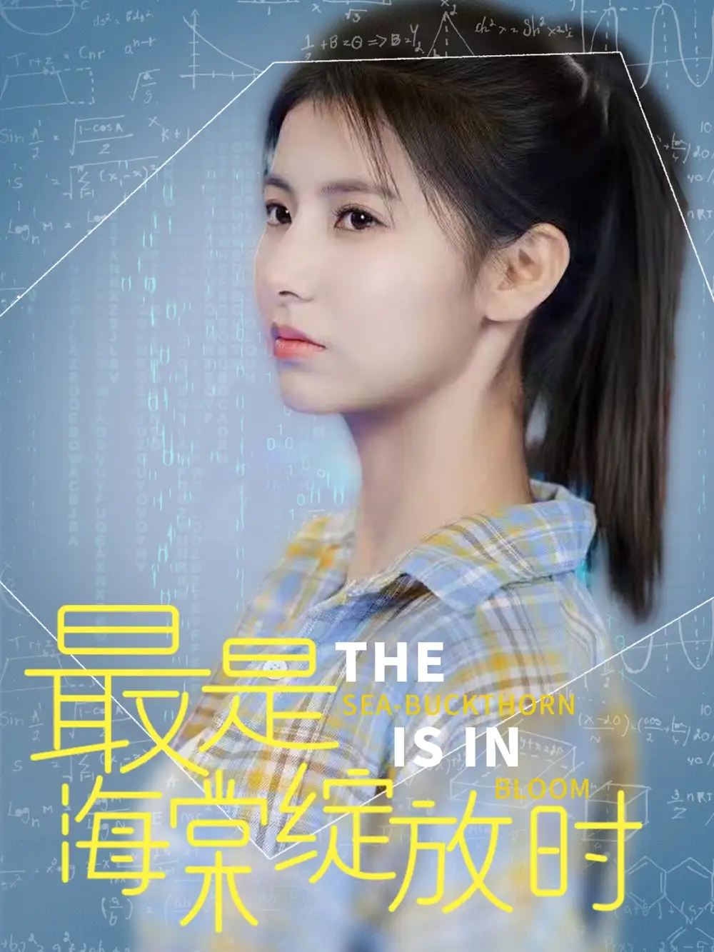 最是海棠绽放时(33集)
