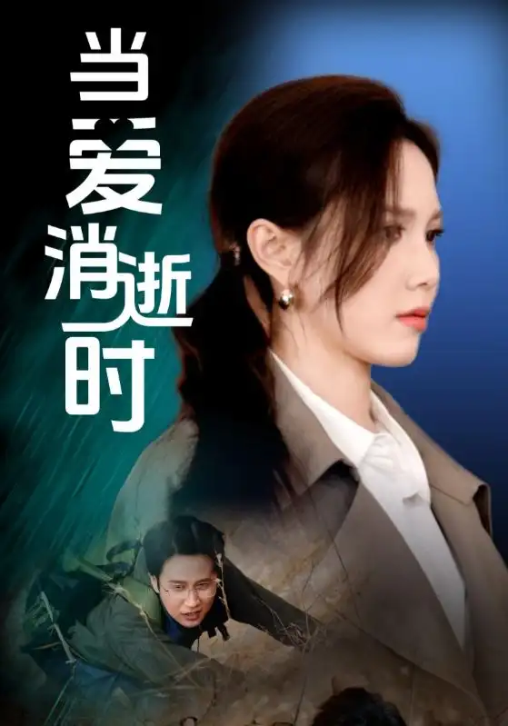 当爱消逝时(53集)