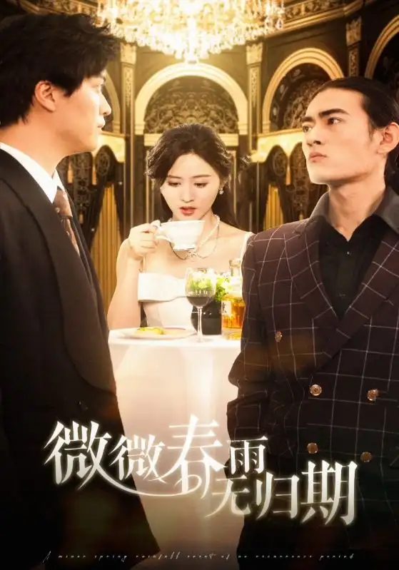 微微春雨无归期(65集)书雪漫&笙笙