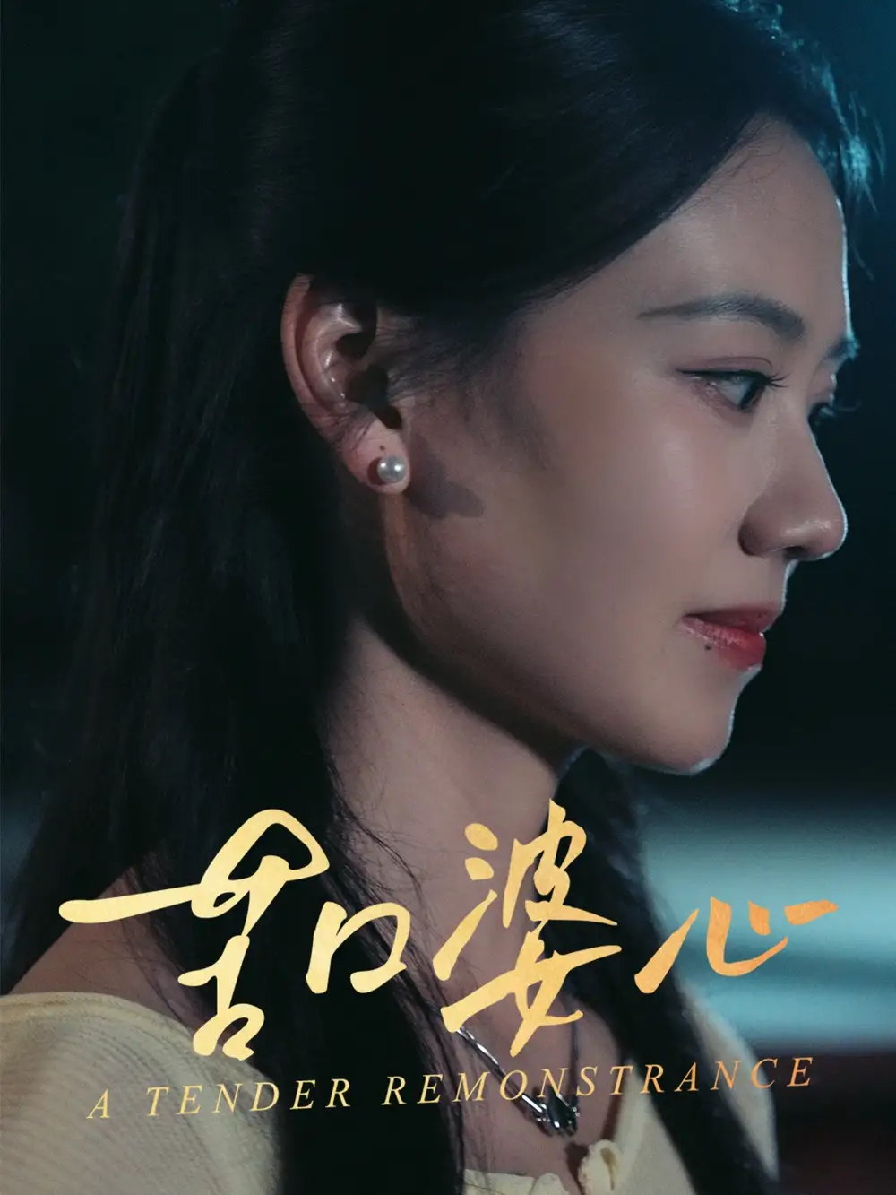 苦口婆心(50集)王艳秋