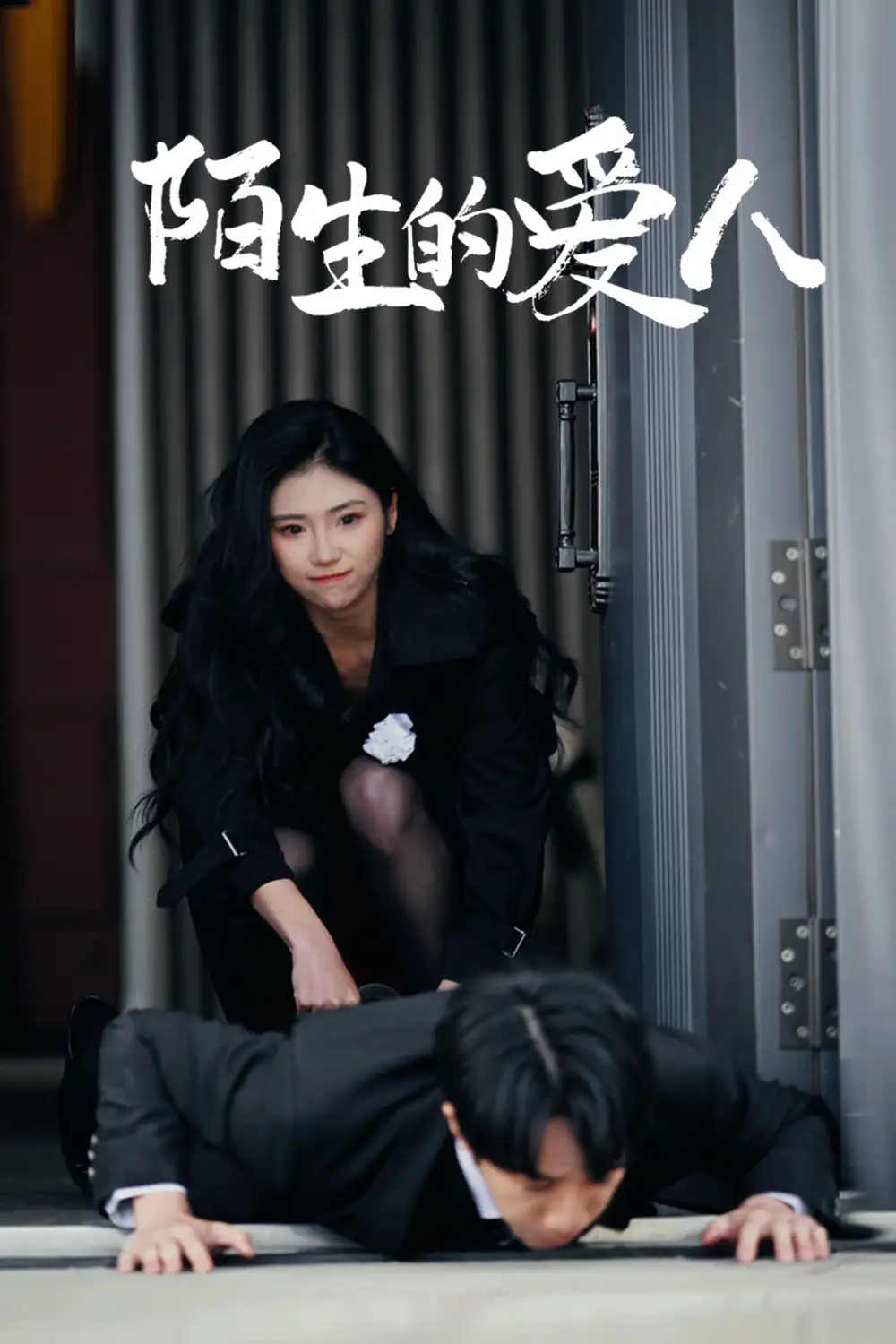 陌生的爱人(60集)