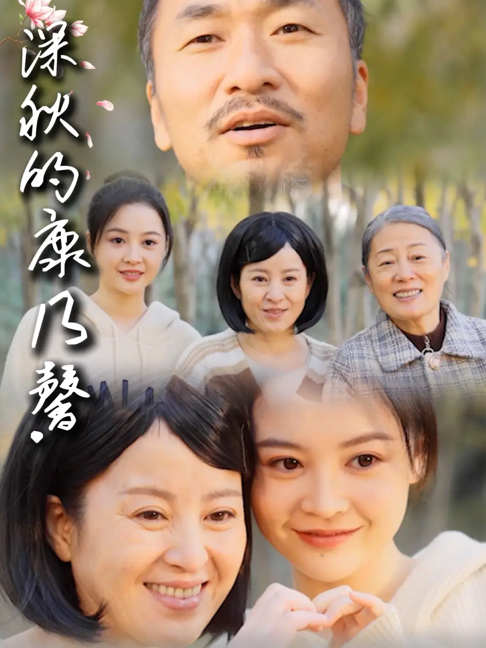 深秋的康乃馨(90集)
